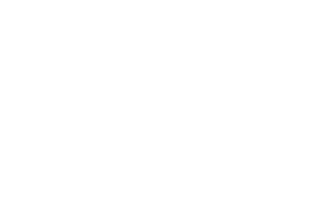 blind tiger speakeasy spirits logo